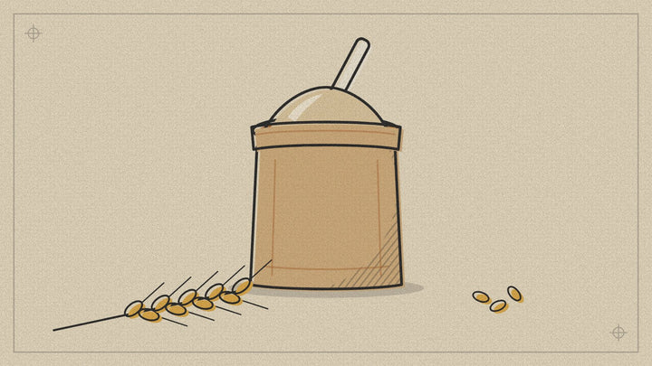 Sac kraft ouvert rempli de farine bise T80, dessiné