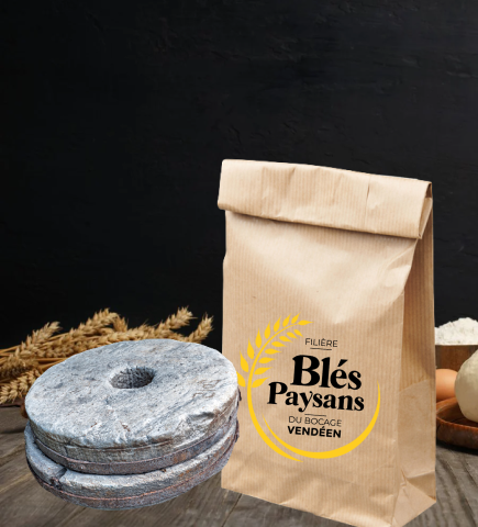 farine meule ble bio ancien blé paysans